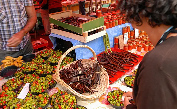 Saveurs épicées et délices du terroir tropical
